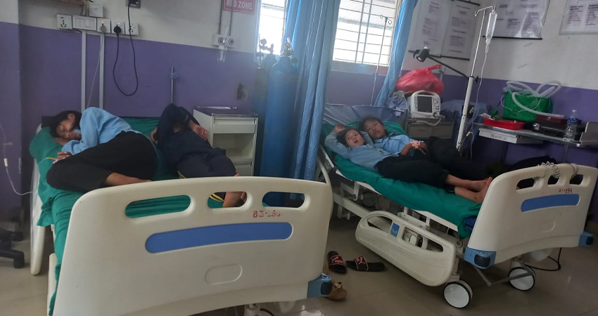 अरिङ्गालले टोकेर चार विद्यार्थी घाइते