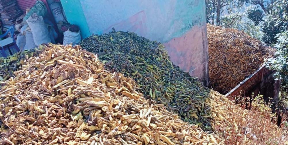 जडीबुटी प्रशोधन प्लान्ट अलपत्र